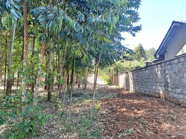 50*100plot for Sale in Kikuyu Migumoini