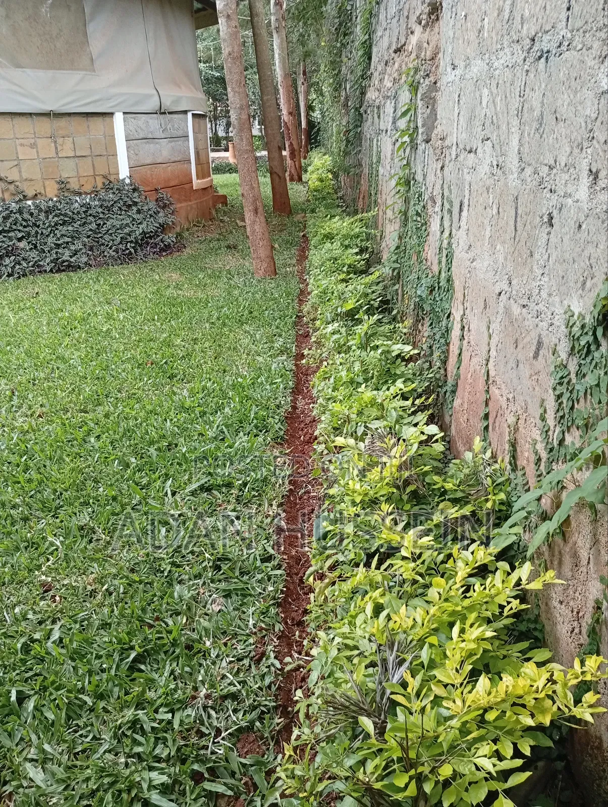 Lawn Care and Hedge Trimming Services