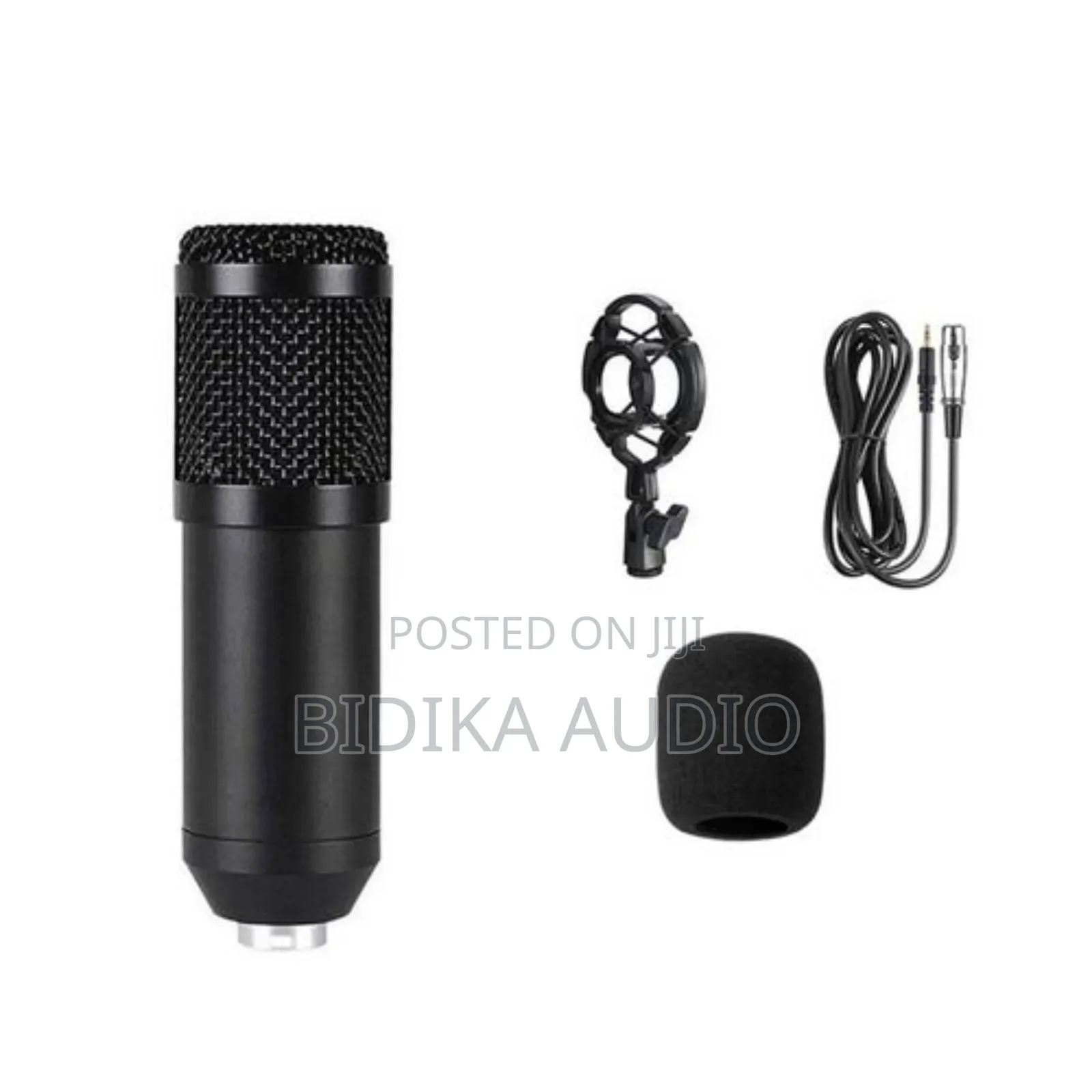 Professional Anchor Microphone for Live Streaming Bm800