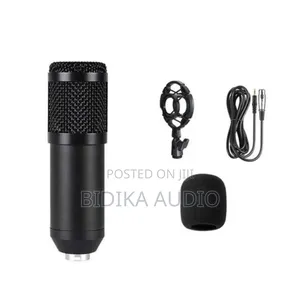 Professional Anchor Microphone for Live Streaming Bm800