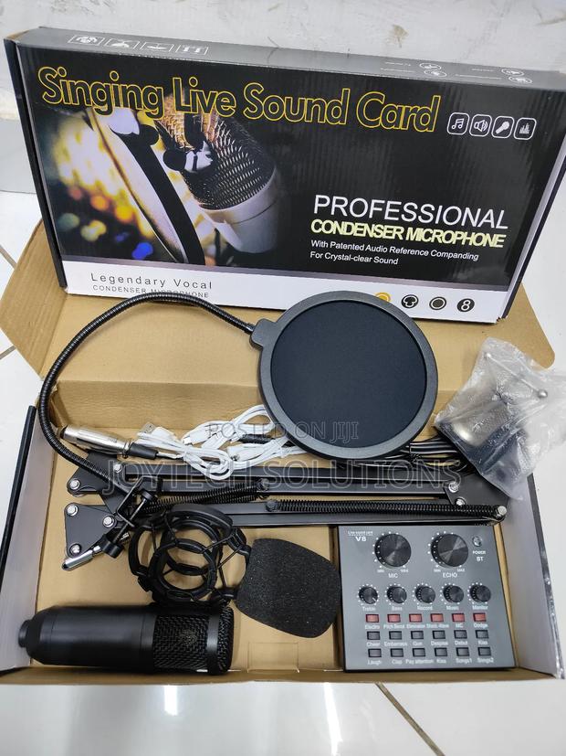 V8 Soundcard Professional Condenser Microphone