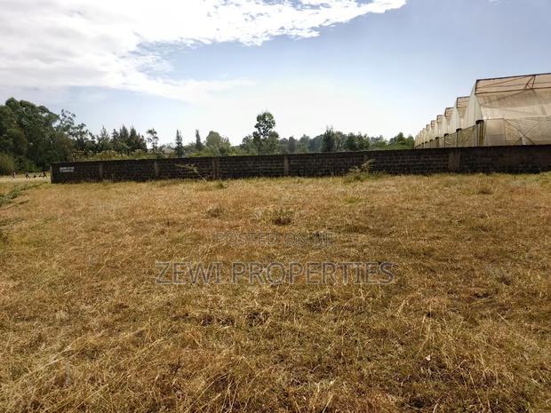 Quarter Acre Kerarapon - thumbnail 4