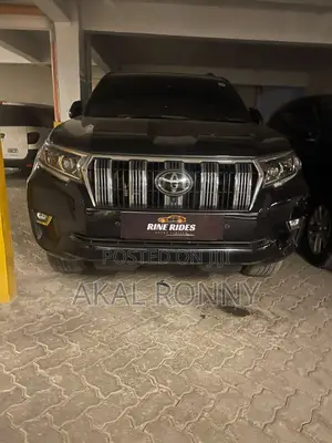 Car Rental