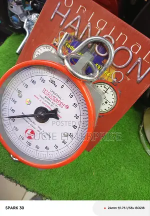 Hanson Weighing Scale 200kg