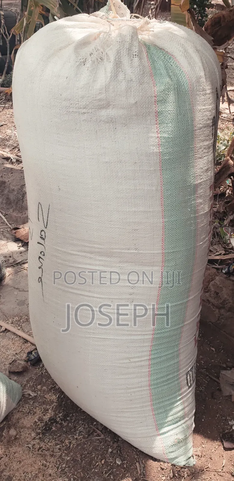 Rice Husks