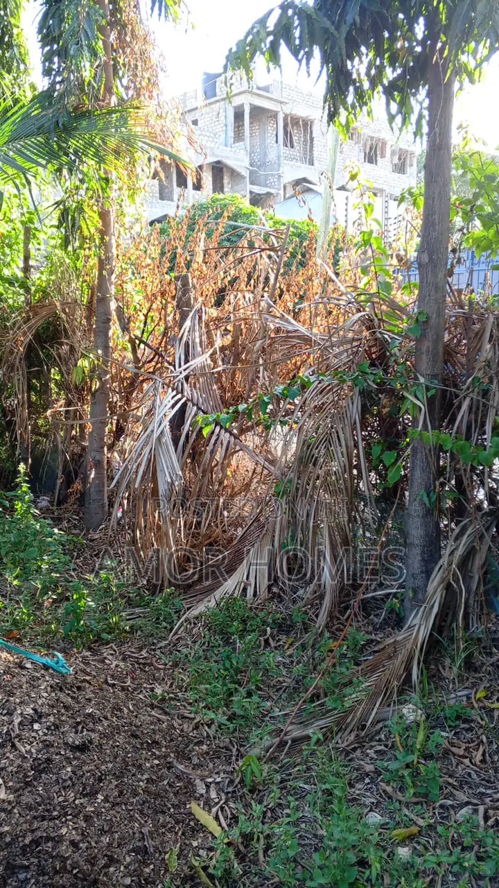 Plot for Sale at Mwandoni-Bilima