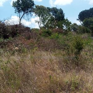 Kilibasi 25km Off Mombasa Road - main view