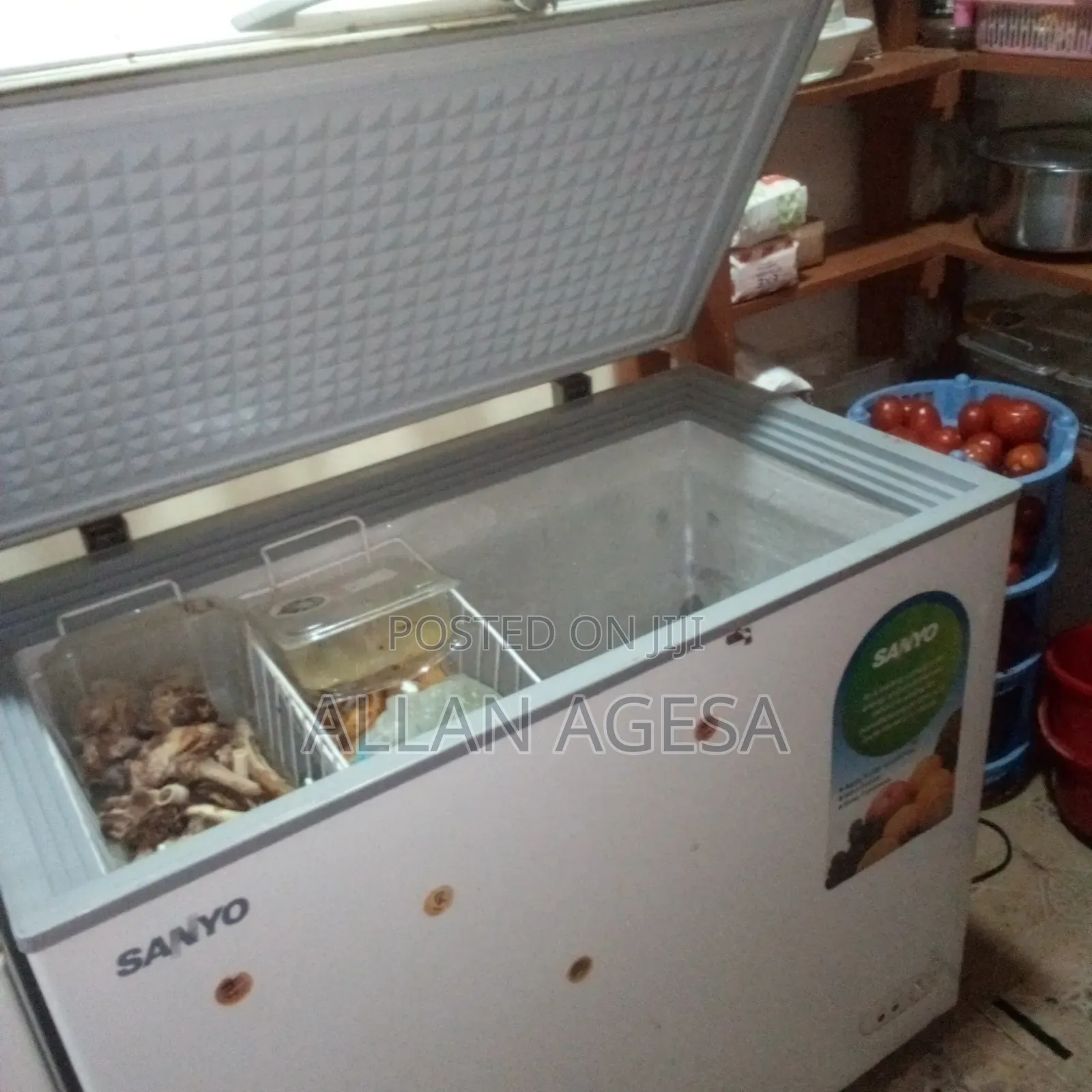 Freezer Repair
