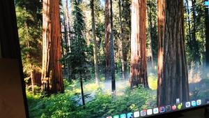 Dell U27 Monitor - thumbnail 2