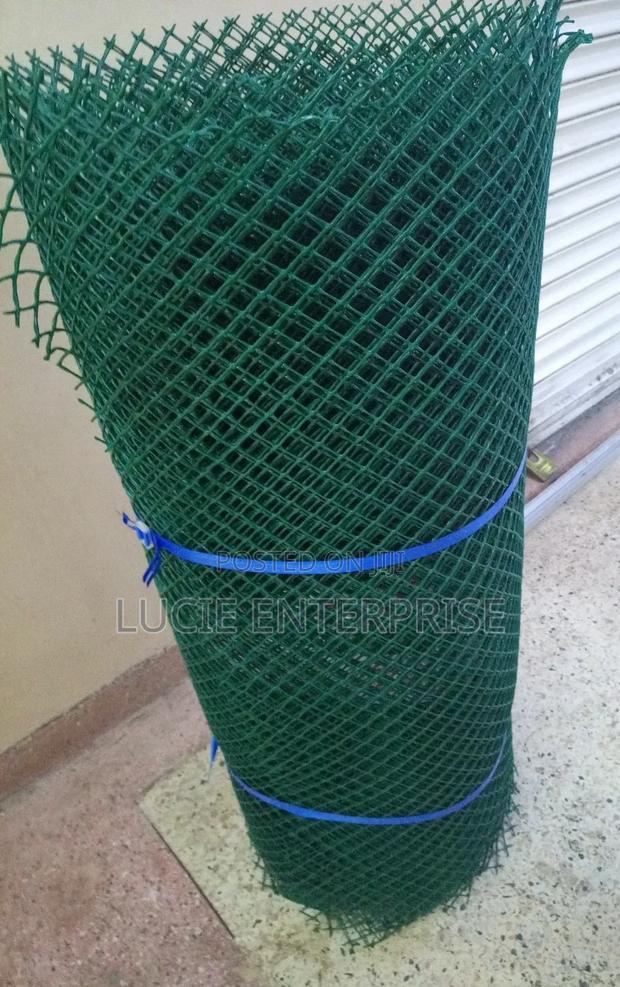 Plastic Wire Mesh /Chicken Wire Mesh