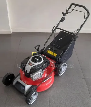 Wys16 Briggs and Stratton Lawn Mower 16 Inches 125cc 3.5hp