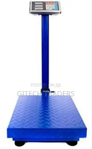 300 KGS Platform Weighing Scale