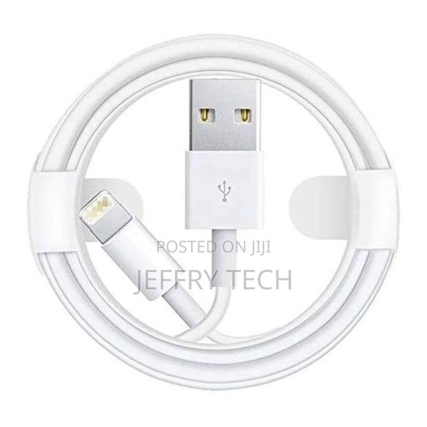Usb a to Lightning Data/Charging Cable (High Quality) - main view