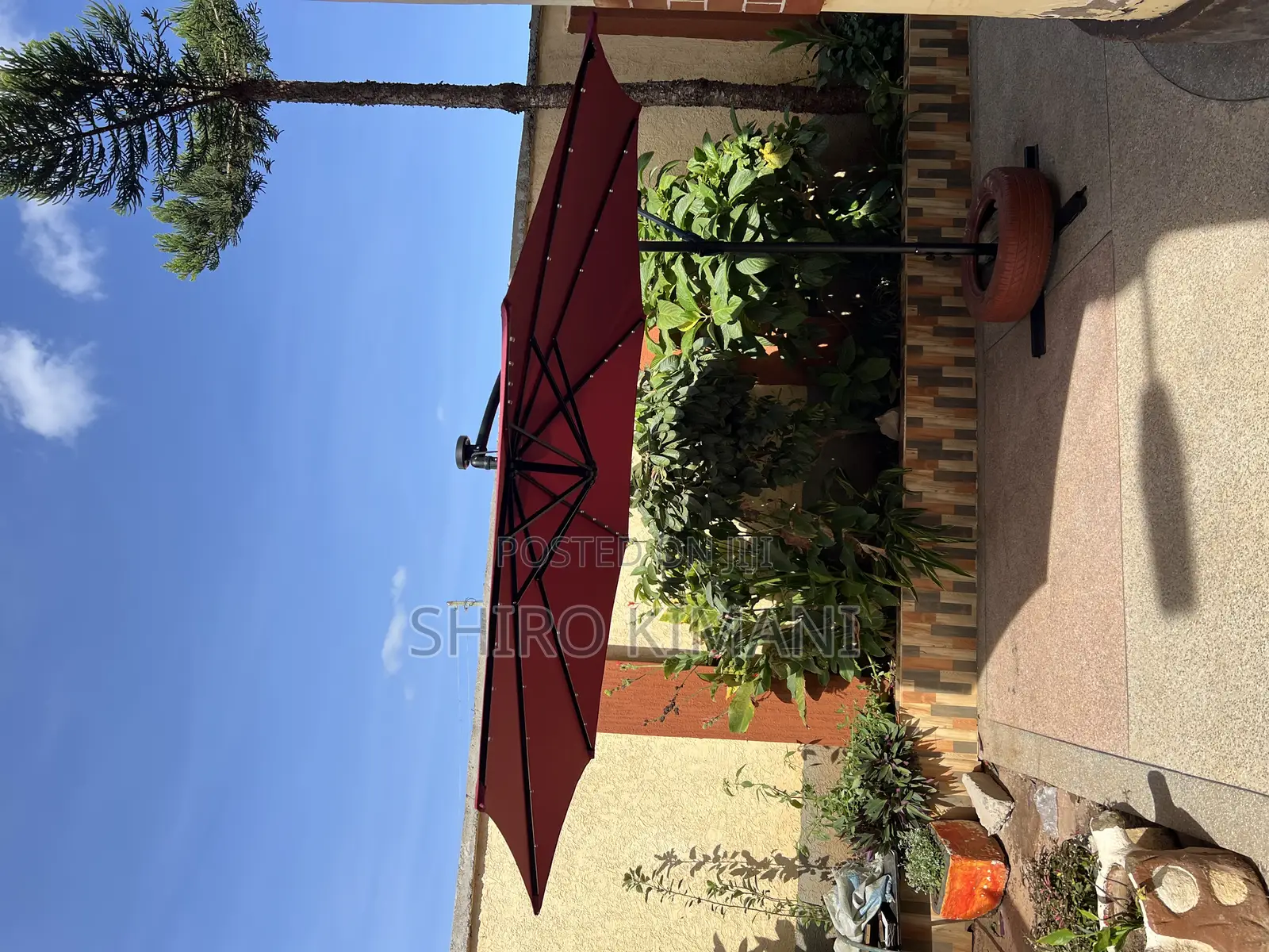 Brand New Best Umbrella Parasol