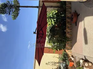Brand New Best Umbrella Parasol