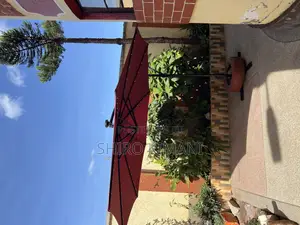 Brand New Best Umbrella Parasol