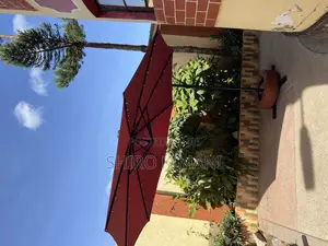 Amazing Parasol Umbrella With Solar Lighys