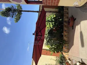 High Outdoor Umbrella Best Quality