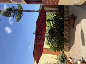 High Outdoor Umbrella Best Quality