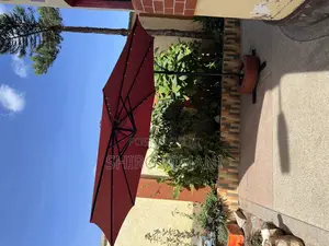 Garden Patio Umbrella Parasol