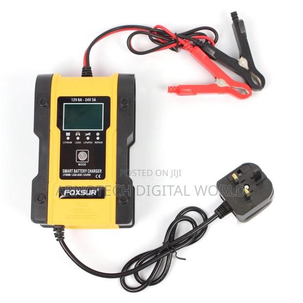 Foxsur Automatic Smart Battery Charger 12v 24v