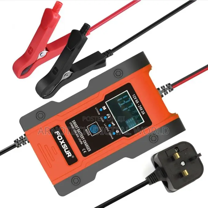 Foxsur Automatic Smart Battery Charger 12v 24v
