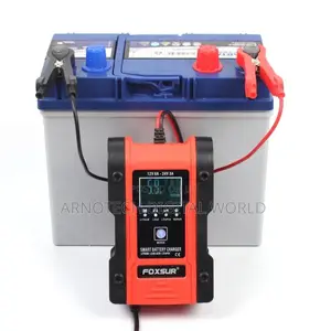 Foxsur Automatic Smart Battery Charger 12v 24v