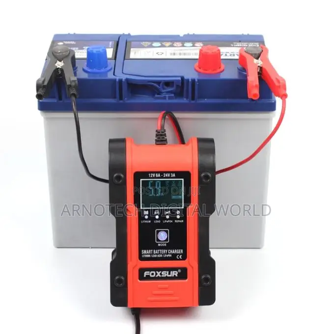 Foxsur Automatic Smart Battery Charger 12v 24v