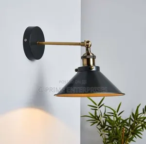 Pendant Light/Wall Light