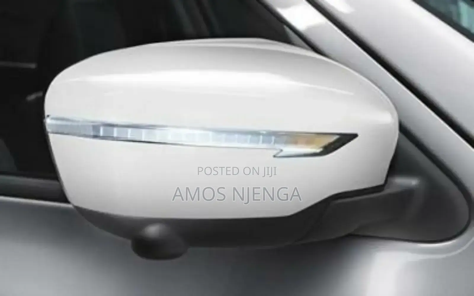 Nissan Juke 2015 Sidemirror Cover