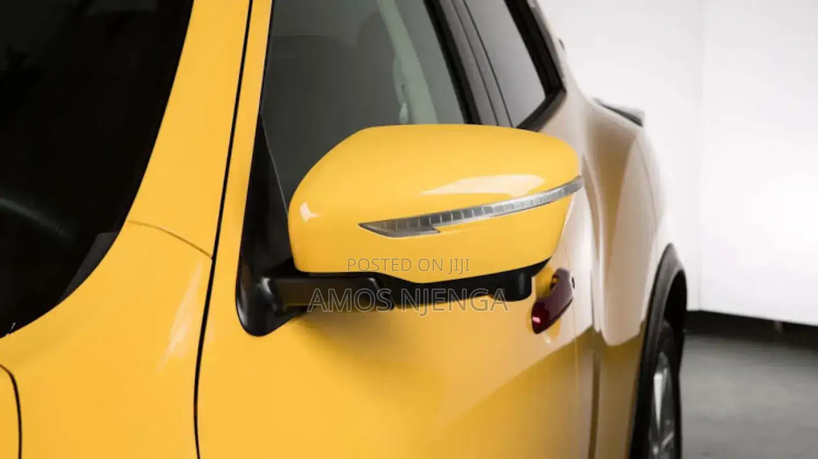 Nissan Juke 2015 Sidemirror Cover