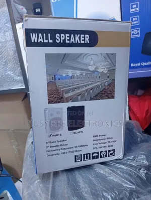 Single Wall Mount Speaker