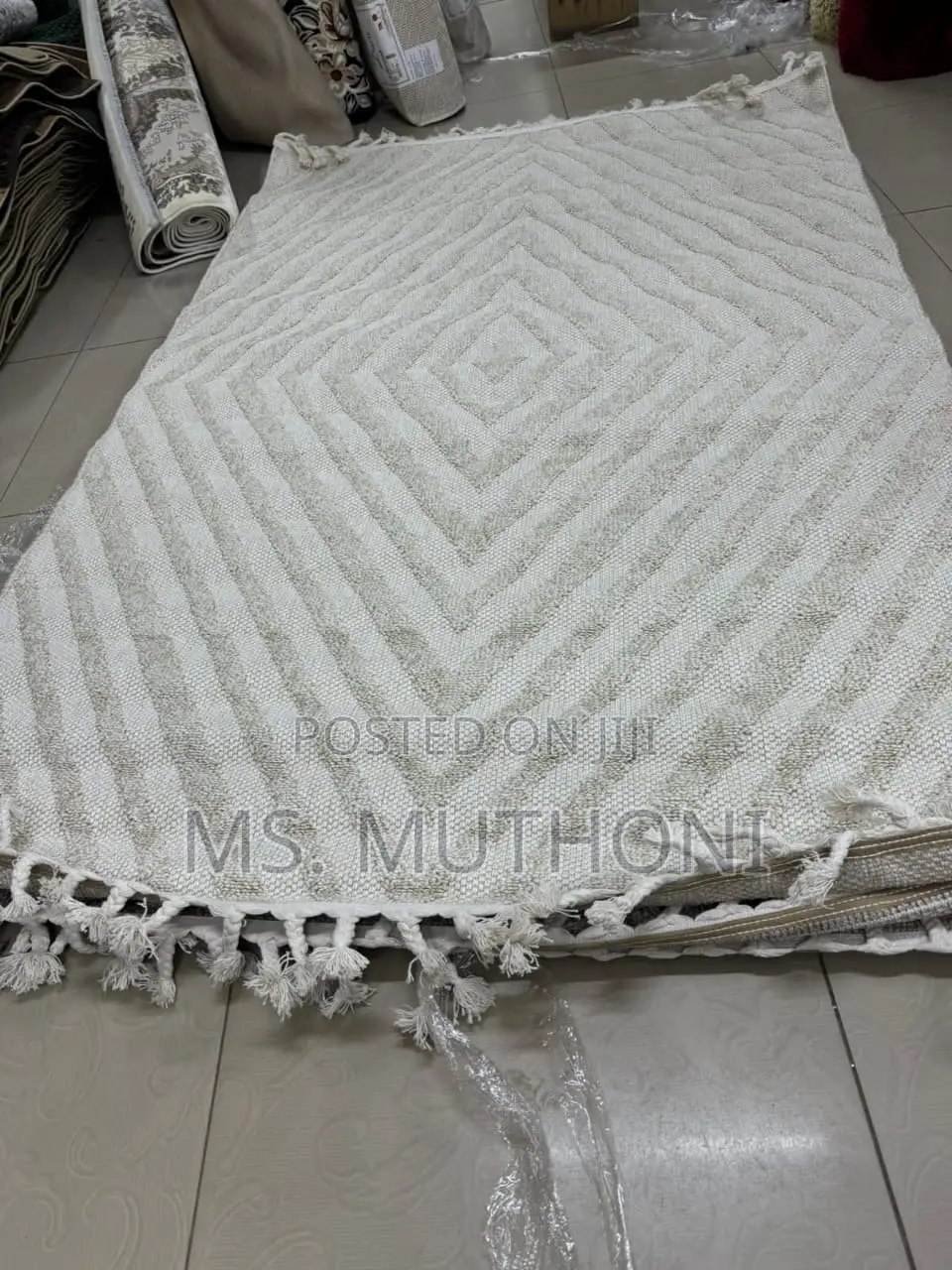 Modern Style Carpets / Rugs