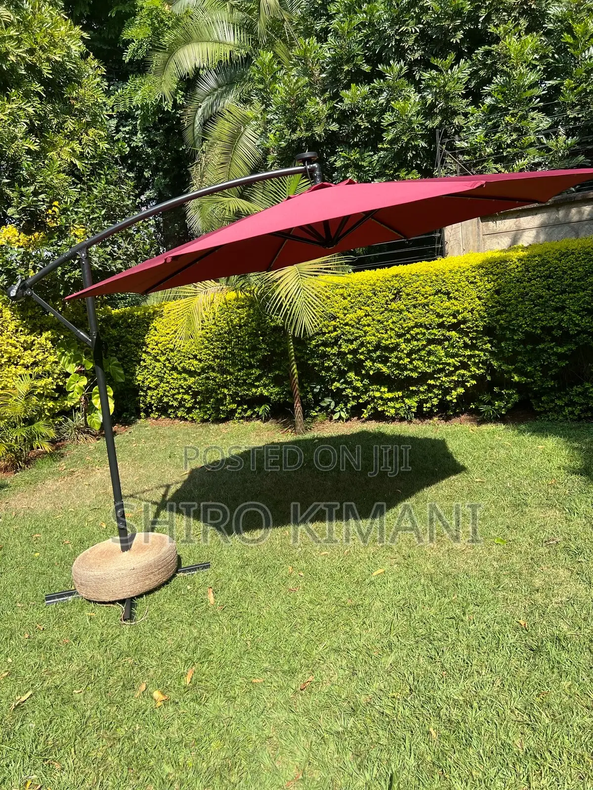 Great Unique Parasol Umbrella Best