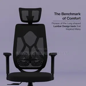Orthopedic Office Seat; High-Back Ergonomic Chair