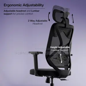 Orthopedic Office Seat; High-Back Ergonomic Chair