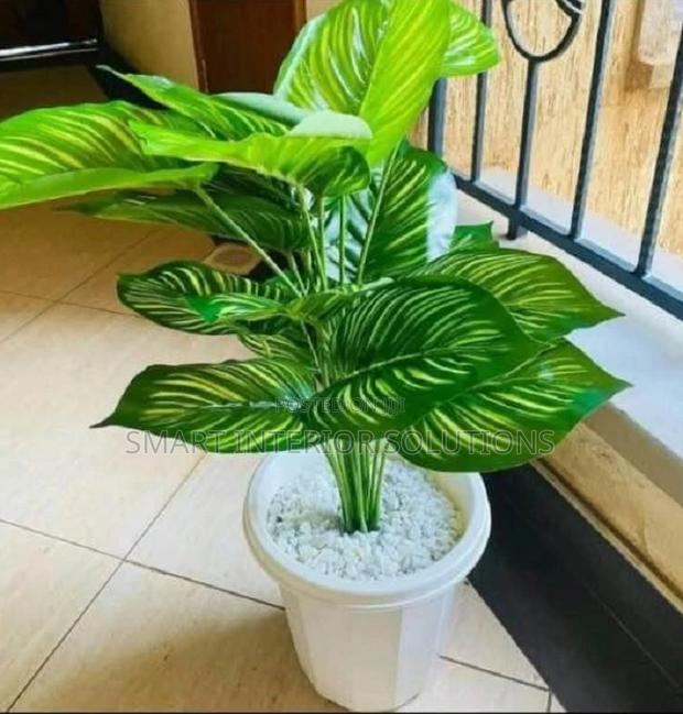 Artificial Plants - main view