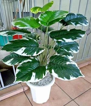 Modern Artificial Plants - thumbnail 2