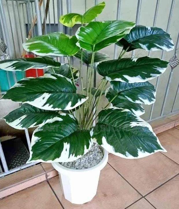 Modern Artificial Plants - main view