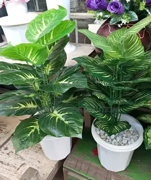 Artificial Plant/Flower