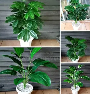 Artificial Green Plants