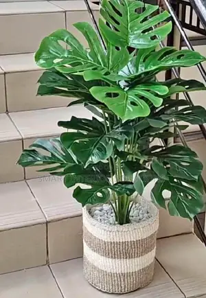 Green Artificial Plants