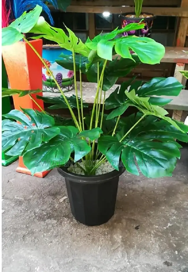 Decorative Artificial Plant/Flower