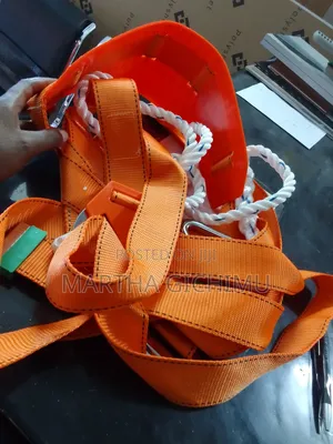 Full Body Harness