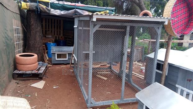 Animal Housing - thumbnail 3