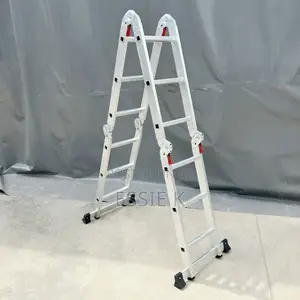4*3(12feets) Multipurpose Ladder