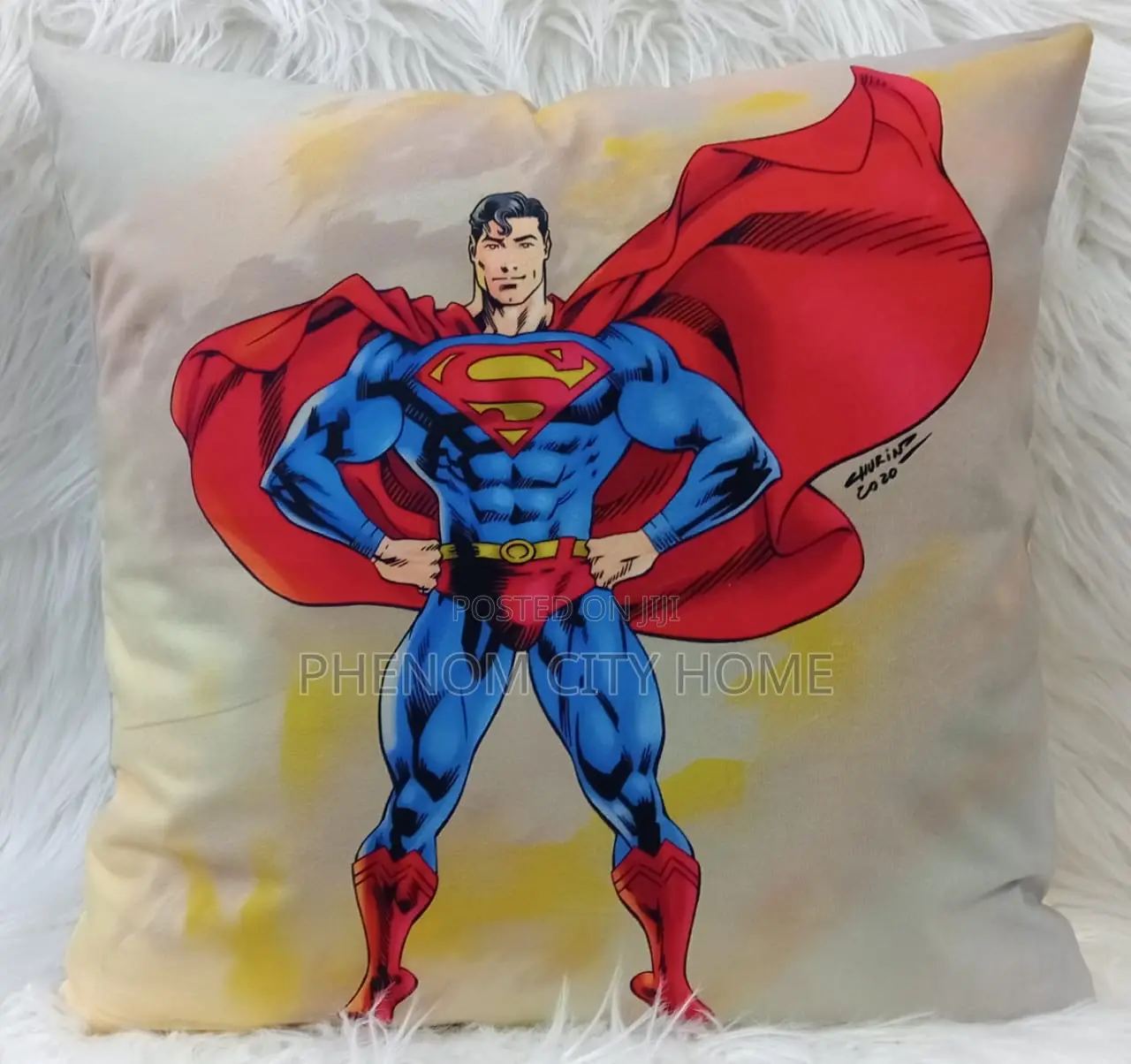 Boys Room Throwpillow Covers Available