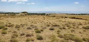 Land Touching Tarmac Along Naivasha Maaimahiu ,3acres.