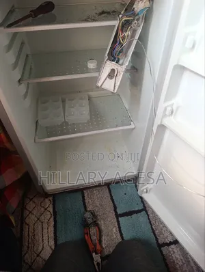 Fridge Thermostat Replacement and Service