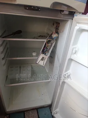 Fridge Thermostat Replacement and Service